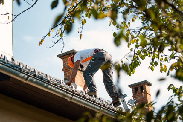 Best Gutter Installation and Roofing  in Ridgefield, WA