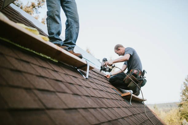 Roof Gutter Cleaning in Ridgefield, WA